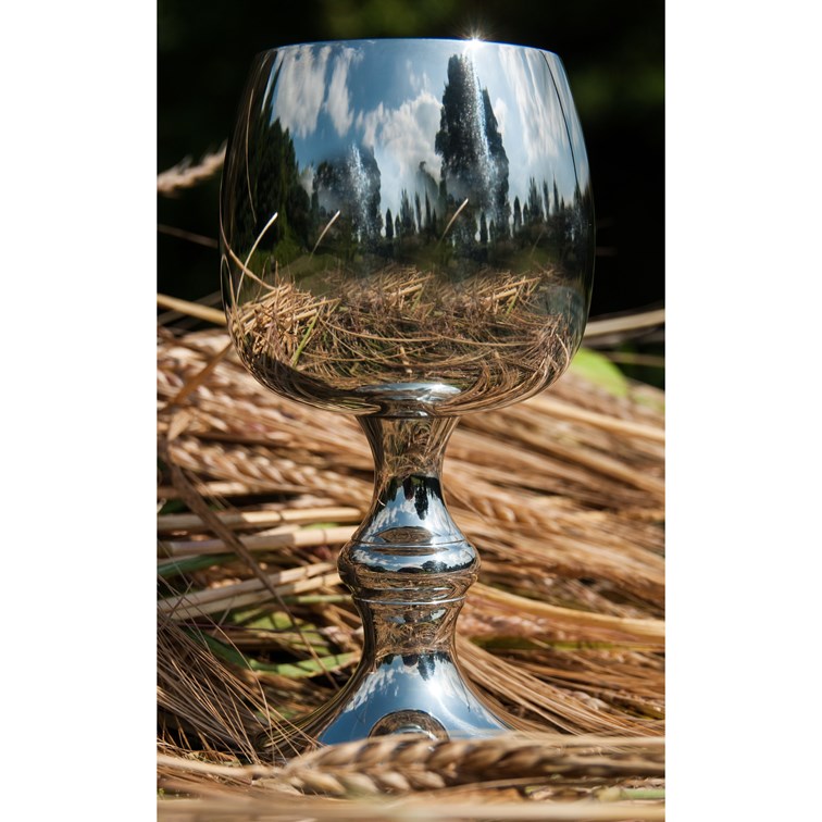 Tulip Pewter Goblet Tulip Pewter Goblet