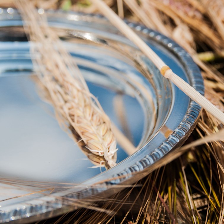 Small Gadroon Rim Pewter Tray