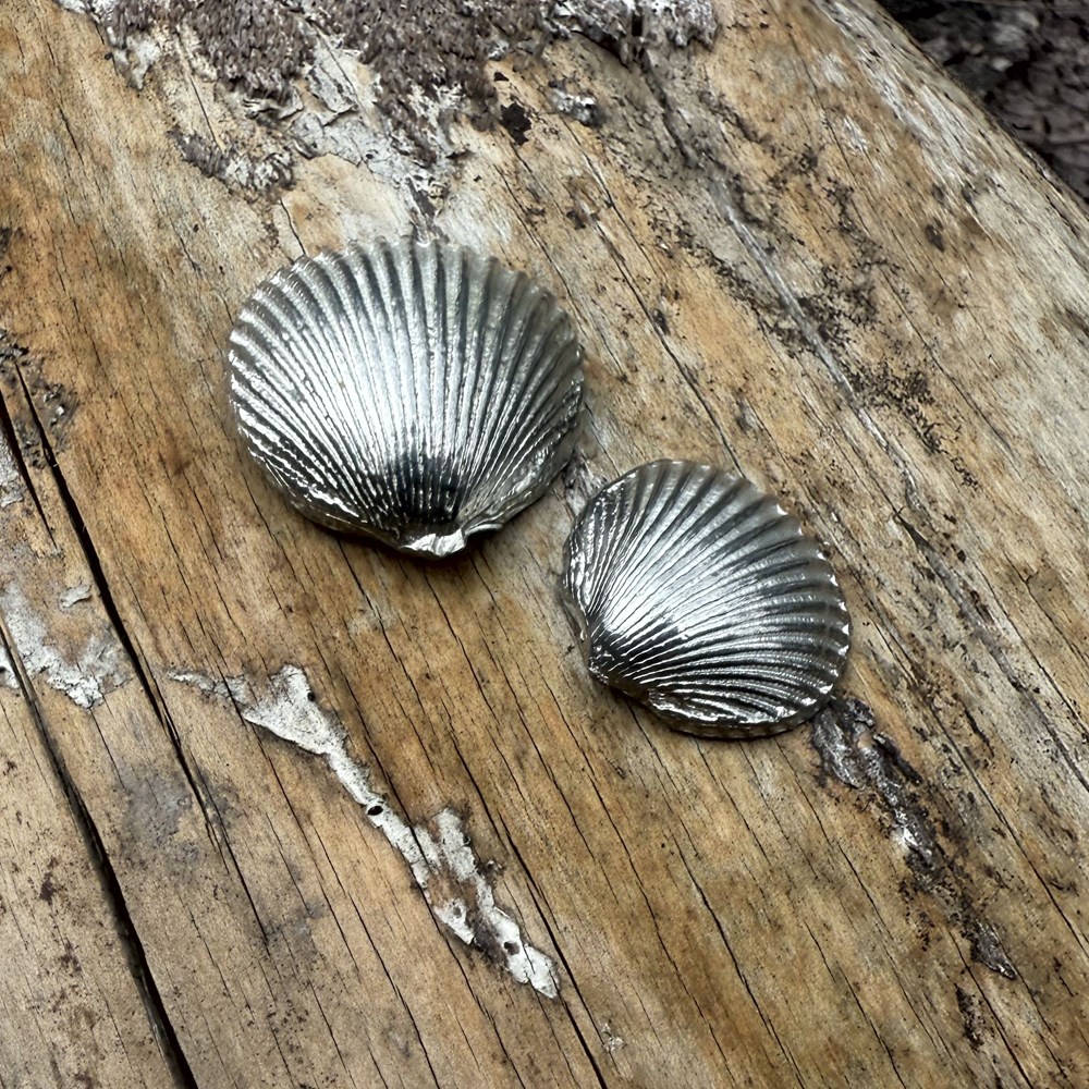 Cast Pewter Small Cockle Shell Ornament Cast Pewter Small Cockle Shell Ornament