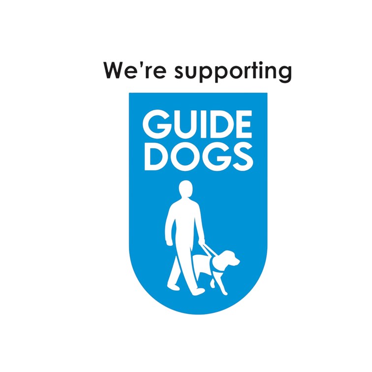 guide dog poster