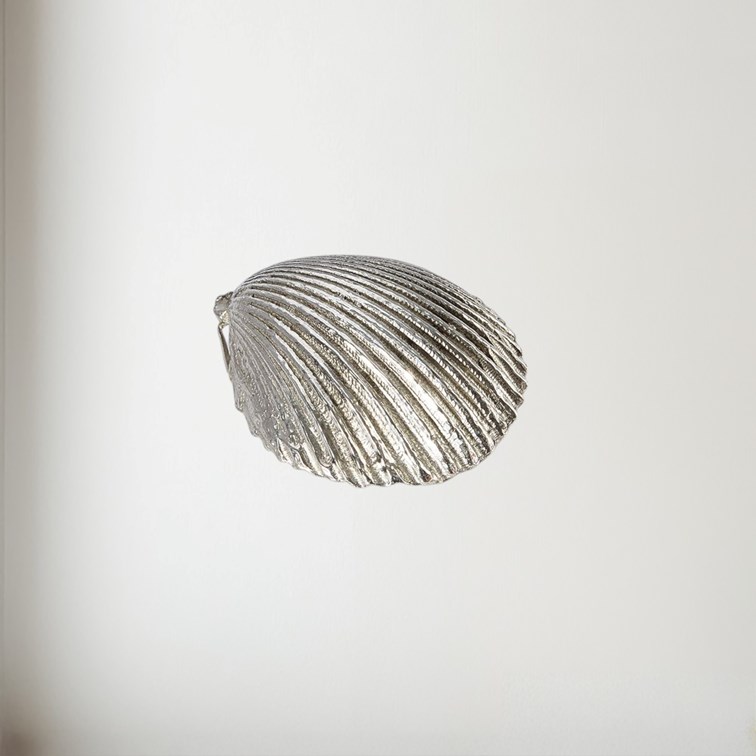 Cast Pewter Large Cockle Shell Ornament