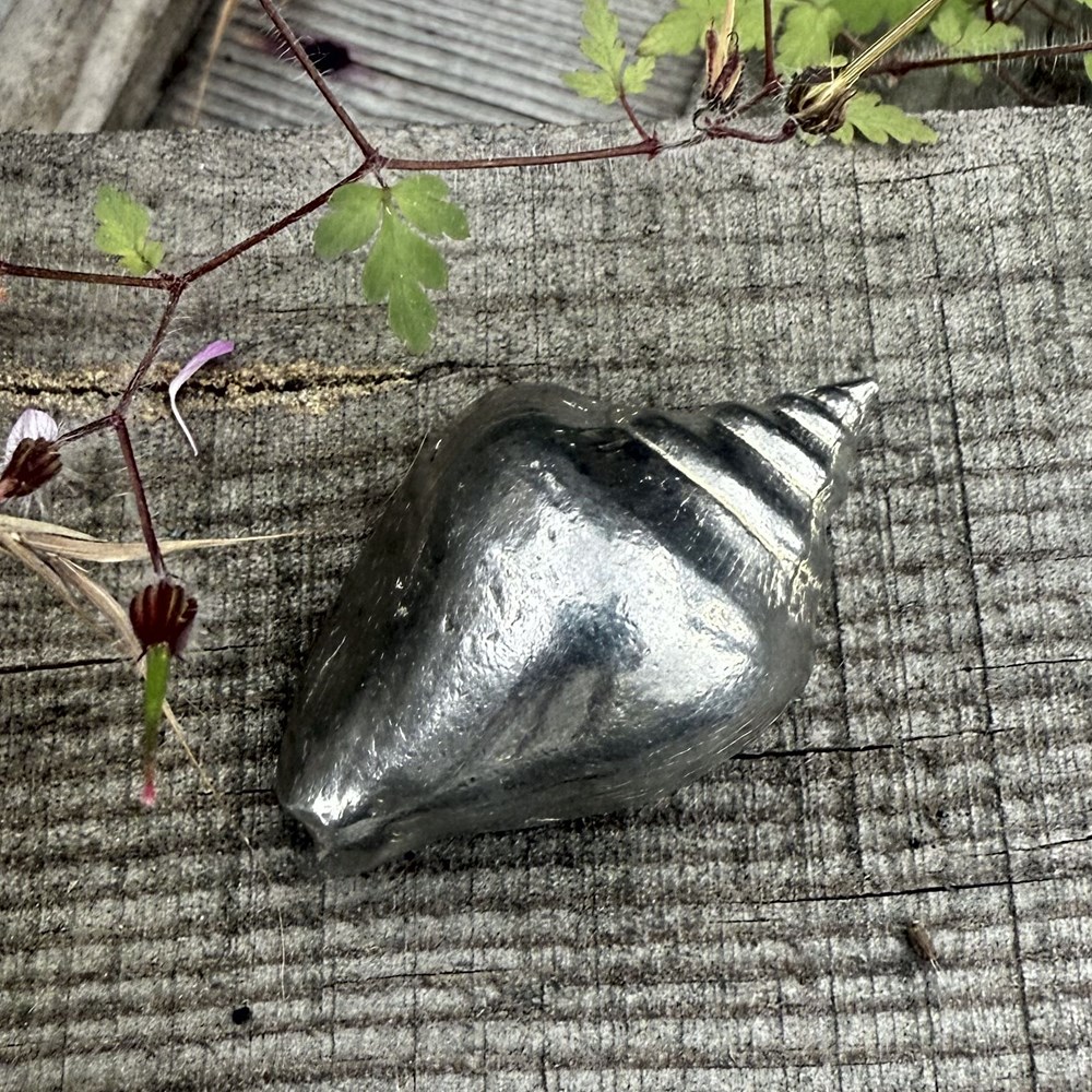 Cast Pewter Large Sea Snail Ornament