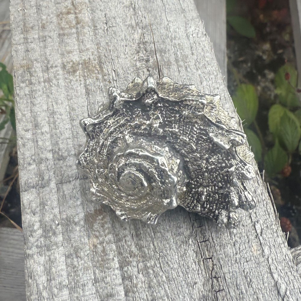 Cast Pewter Spikey Shell Ornament Cast Pewter Spikey Shell Ornament