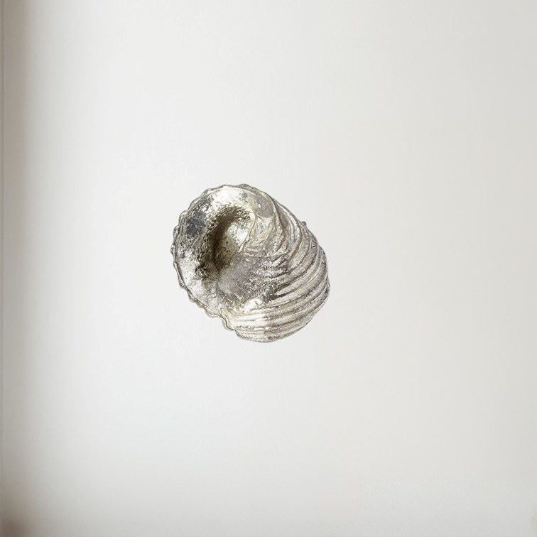 Cast Pewter Flat Spiral Shell Ornament