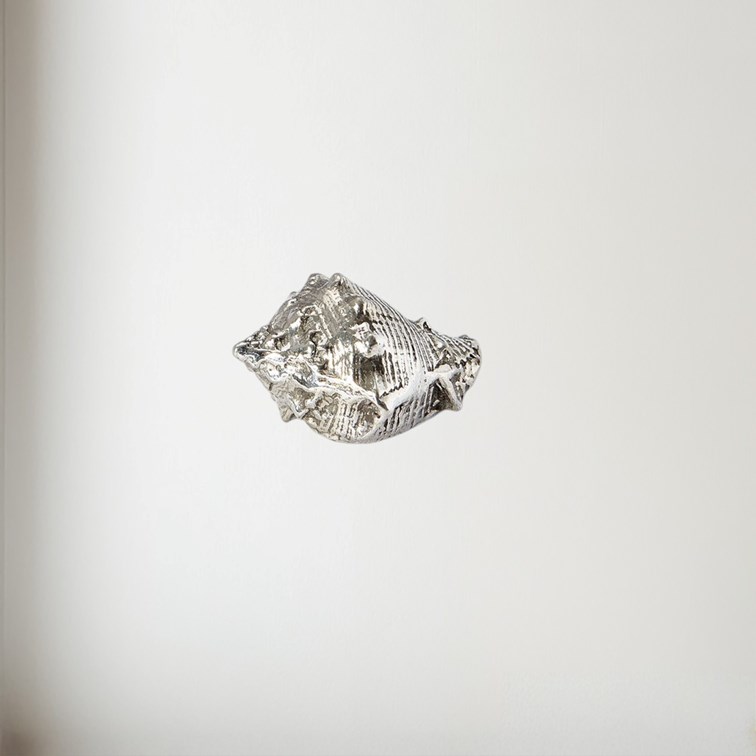 Cast Pewter Conch Shell Ornament