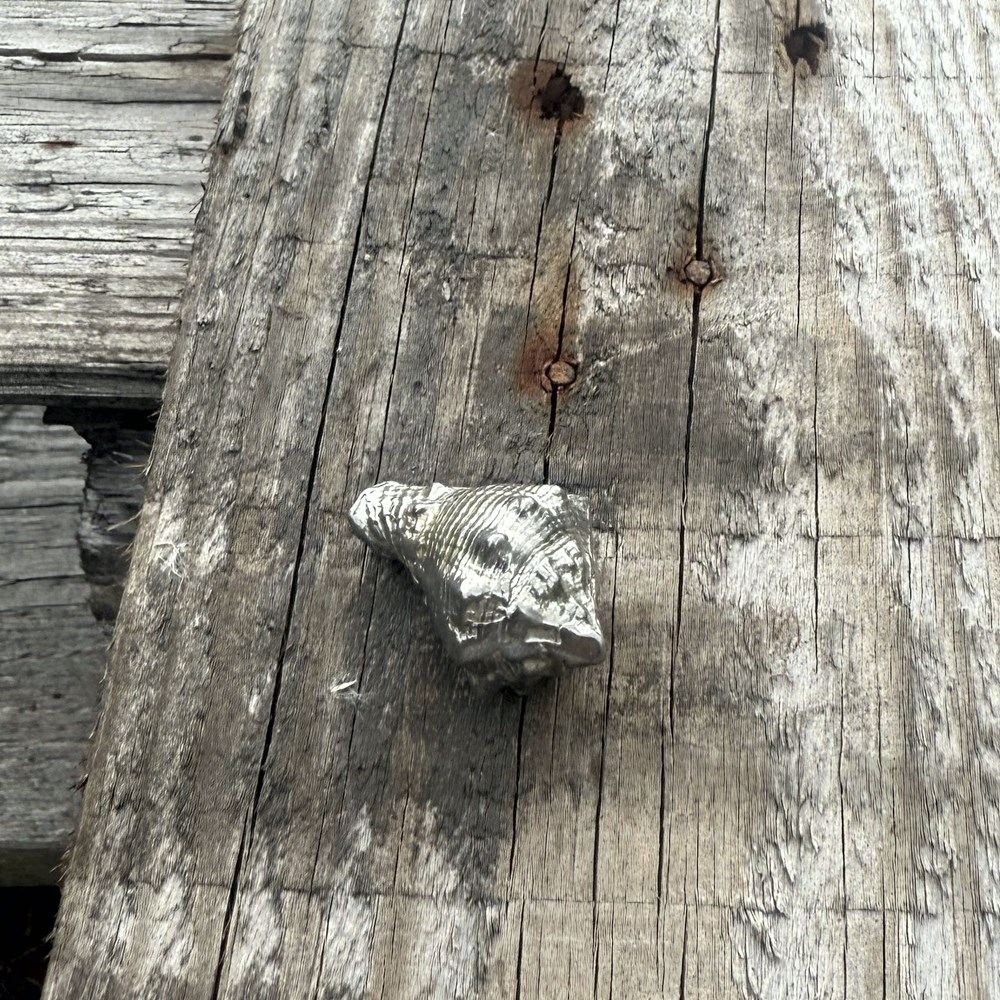 Cast Pewter Conch Shell Ornament