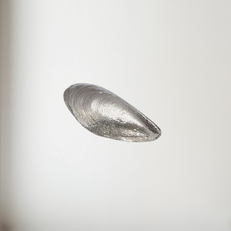 Cast Pewter Mussel Shell Ornament