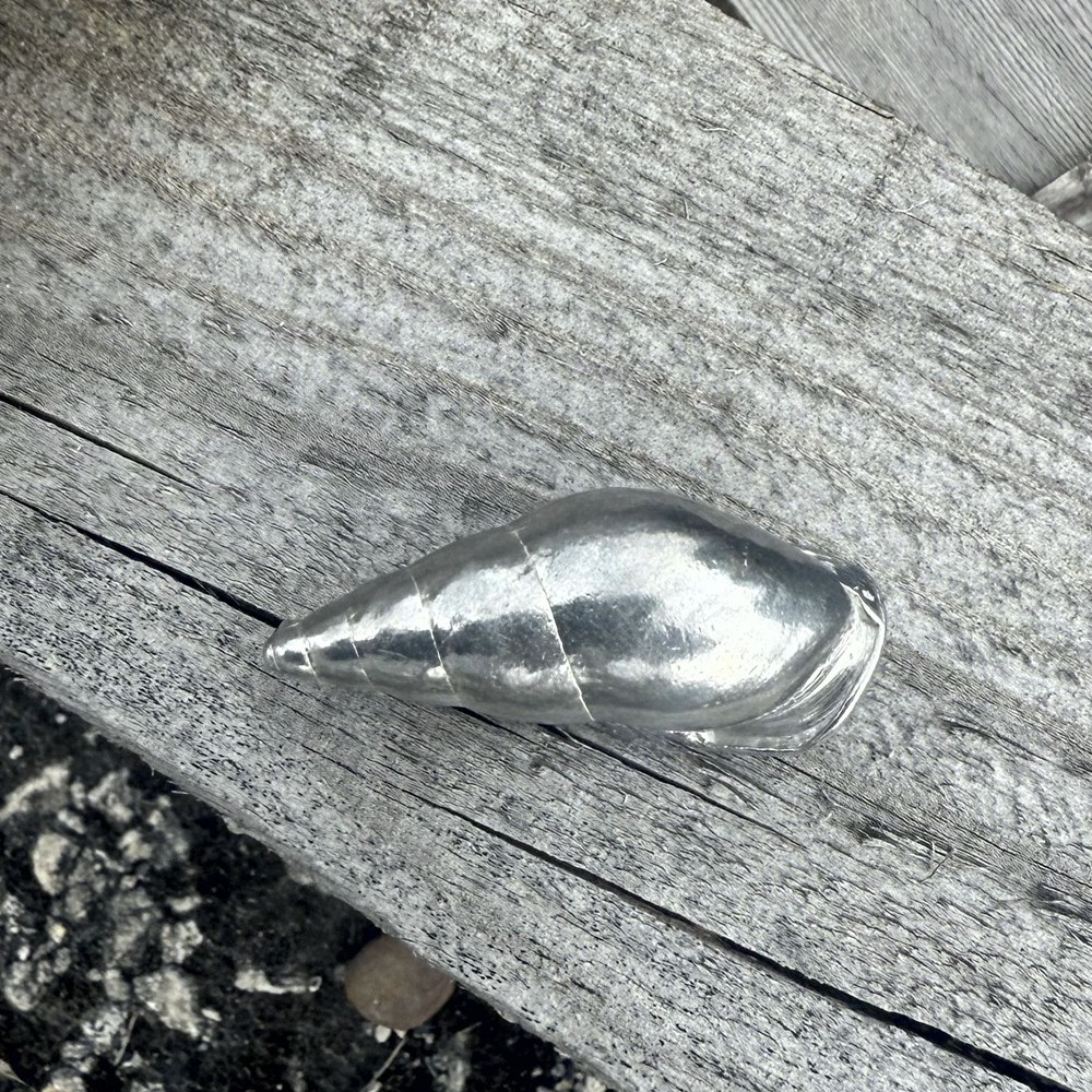 Cast Medium Spiral Shell Ornament