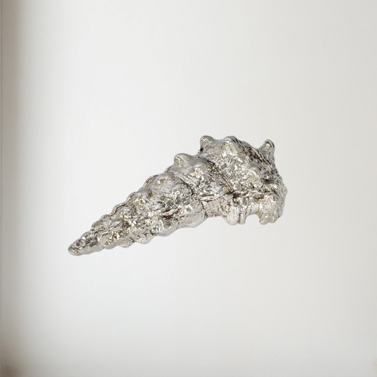 Cast Pewter Large Ceritch Shell Ornament