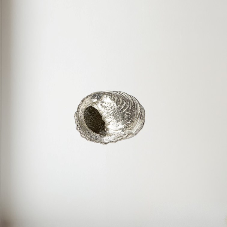 Cast Pewter Flat Spiral Shell Ornament