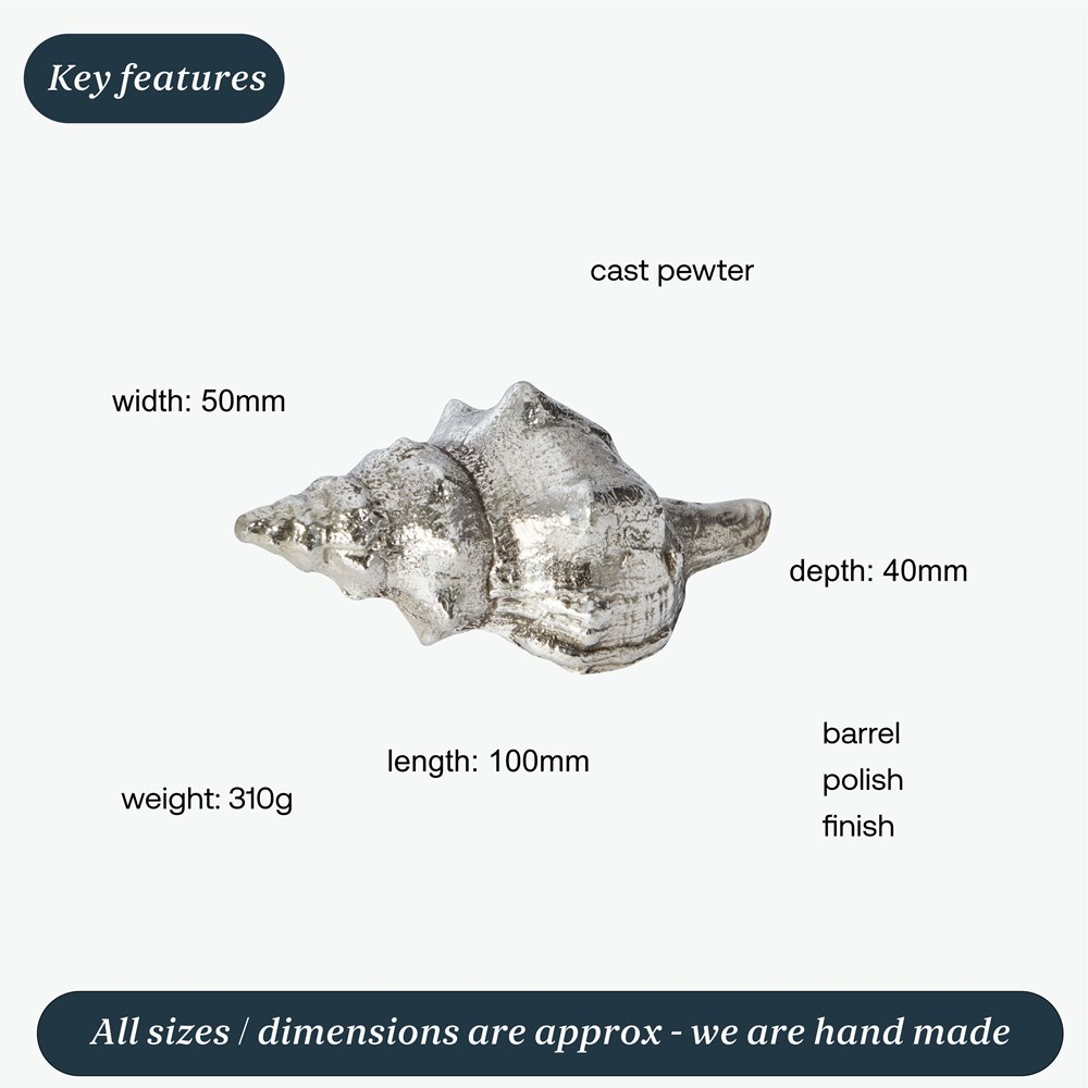 Cast Pewter Tulip Shell Ornament