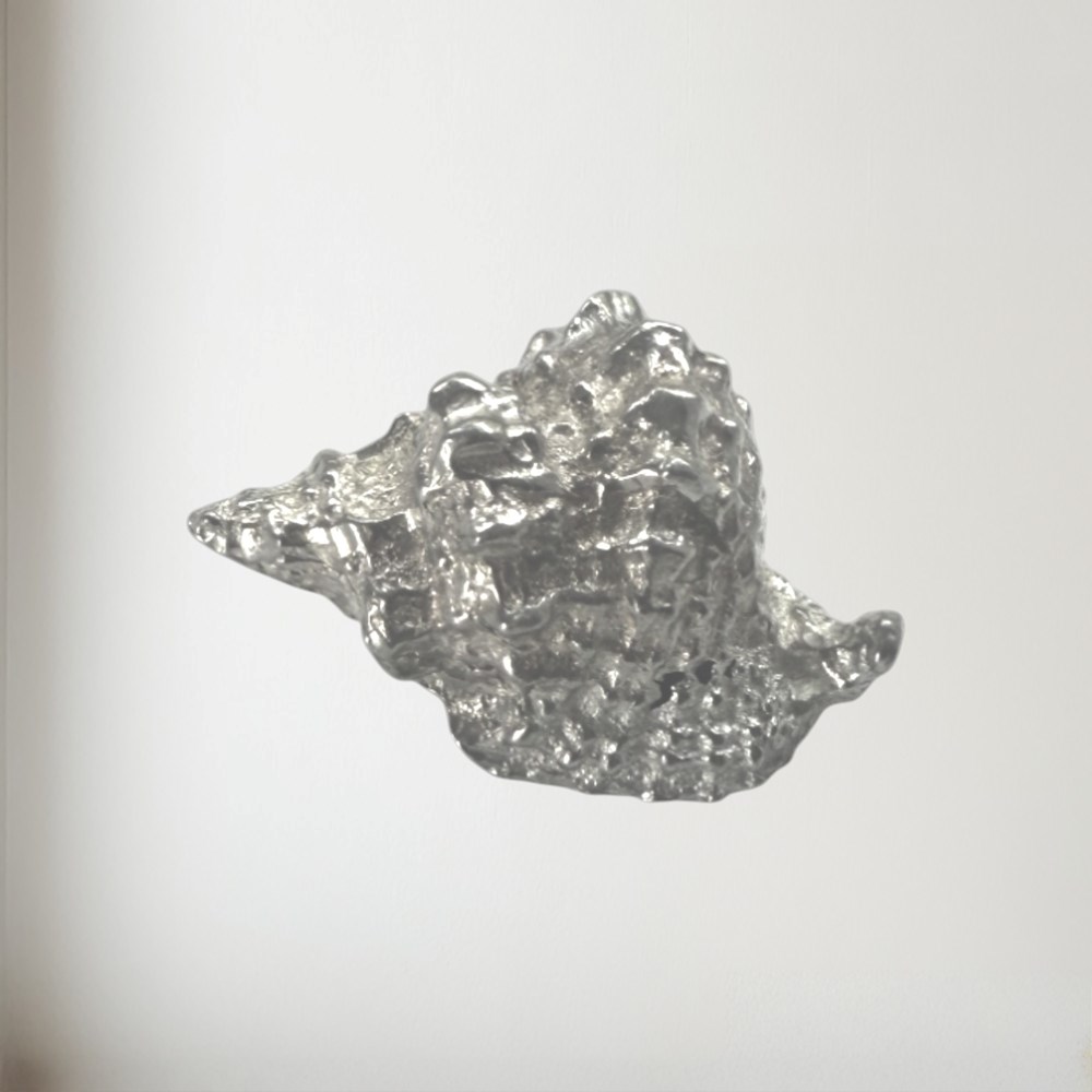 Cast Pewter Triton Shell Ornament Cast Pewter Triton Shell Ornament