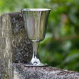 Large Pewter Bell Goblet Large Pewter Bell Goblet