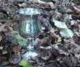 Tiny Georgian Pewter Goblet Tiny Georgian Pewter Goblet