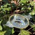 Standard Brass Rim Pewter Quaich | Standard Brass Rim Pewter Quai Standard Brass Rim Pewter Quaich | Standard Brass Rim Pewter Quai