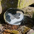 Small Butterfly Pewter Trinket Box