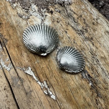 Cast Pewter Large Cockle Shell Ornament Cast Pewter Large Cockle Shell Ornament