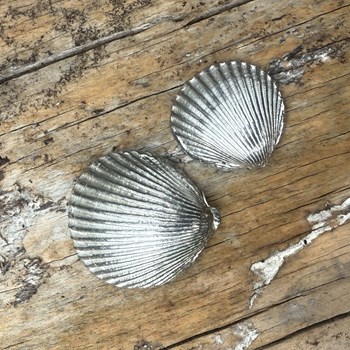 Cast Pewter Small Cockle Shell Ornament Cast Pewter Small Cockle Shell Ornament