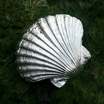 Cast Pewter Scallop Shell Ornament Cast Pewter Scallop Shell Ornament