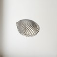 Cast Pewter Large Cockle Shell Ornament Cast Pewter Large Cockle Shell Ornament
