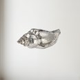 Cast Medium Sea Snail Ornament Cast Medium Sea Snail Ornament