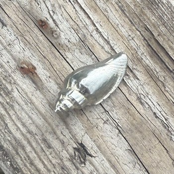 Cast Medium Sea Snail Ornament