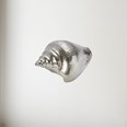 Cast Pewter Large Sea Snail Ornament