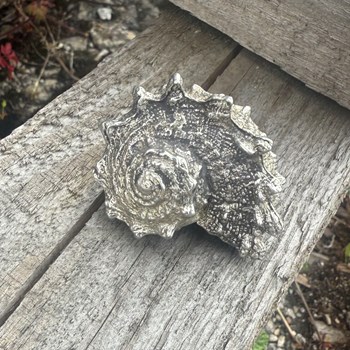 Cast Pewter Spikey Shell Ornament