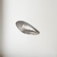 Cast Pewter Mussel Shell Ornament