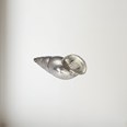 Cast Medium Spiral Shell Ornament Cast Medium Spiral Shell Ornament