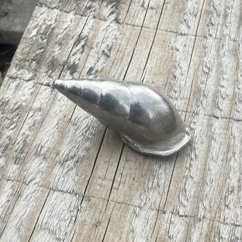 Cast Medium Spiral Shell Ornament