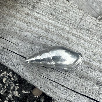 Cast Medium Spiral Shell Ornament