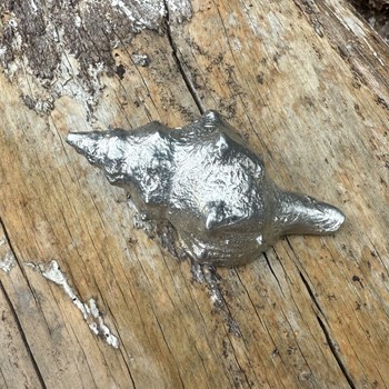 Cast Pewter Tulip Shell Ornament