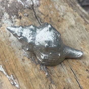 Cast Pewter Tulip Shell Ornament