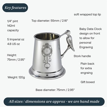 Baby Data Pewter Baby Mug