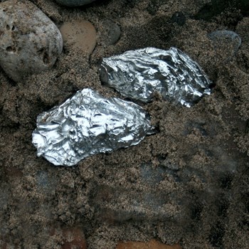 Cast Pewter Oyster Shell Front Ornament