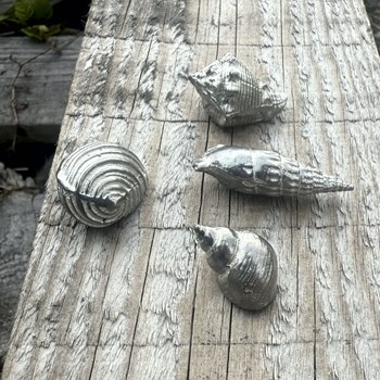 Cast Pewter Small Ceritch Shell Ornament