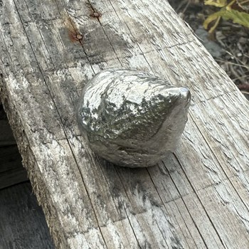 Cast Pewter Top Shell Ornament Cast Pewter Top Shell Ornament