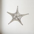 Cast Pewter Fancy Starfish Ornament