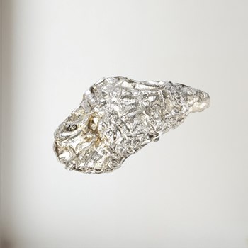 Cast Pewter Oyster shell front ornament