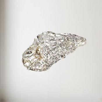 Cast Pewter Oyster shell front ornament