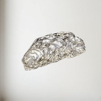 Cast Pewter Oyster Shell back ornament