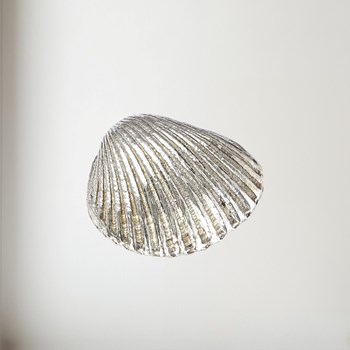 Cast Pewter Small Cockle Shell Ornament Cast Pewter Small Cockle Shell ornament