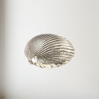 Cast Pewter Large Cockle Shell Ornament