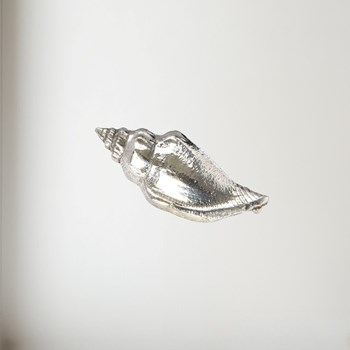 Cast Medium Sea Snail Ornament Cast Medium Sea snail ornament