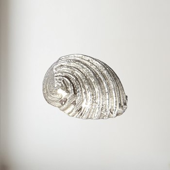 cast pewter Flat Spiral Shell ornament