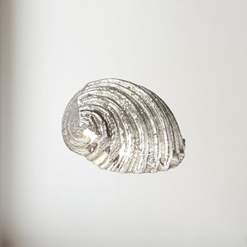 Cast Pewter Flat Spiral Shell Ornament cast pewter Flat Spiral Shell ornament