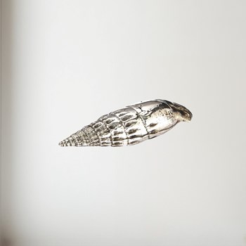 Cast Pewter Small Ceritch Shell Ornament cast pewter Small Ceritch Shell ornament