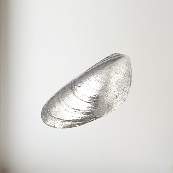 Cast pewter Mussel Shell ornament