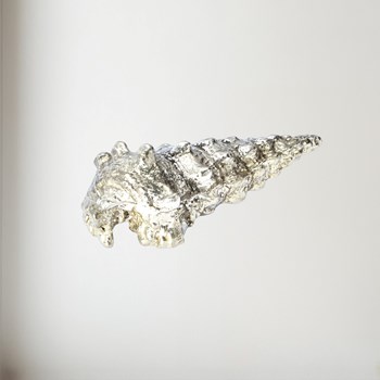 Cast Pewter Large Ceritch Shell ornament